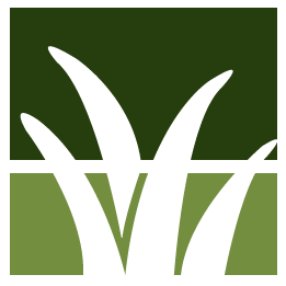 Austin Lawn Clean Up