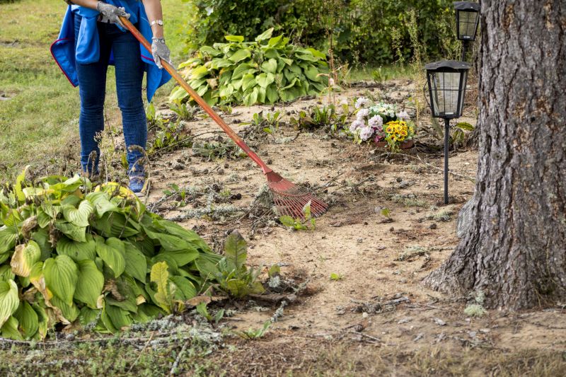 Post-storm debris clearing