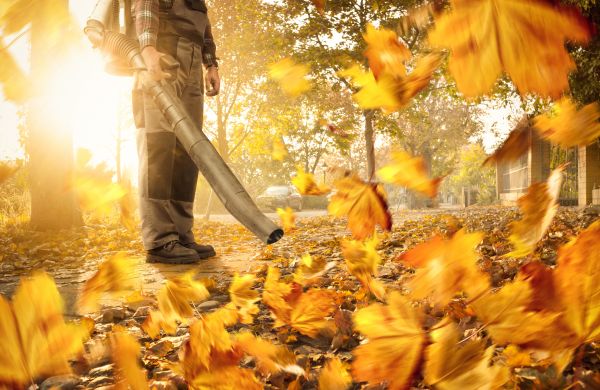 Leaf Blowing Service in Austin