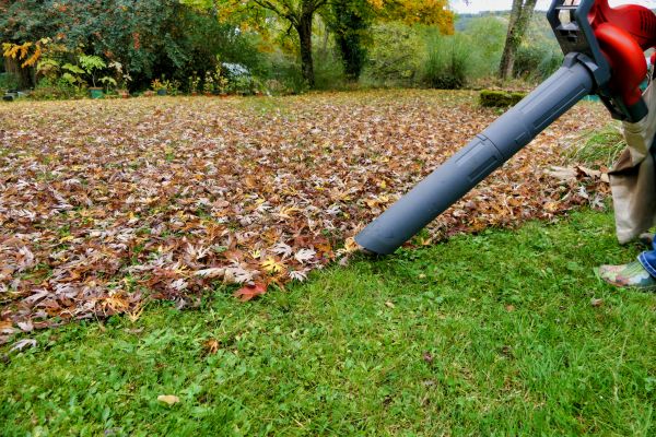 Leaf Vacuuming Service in Austin