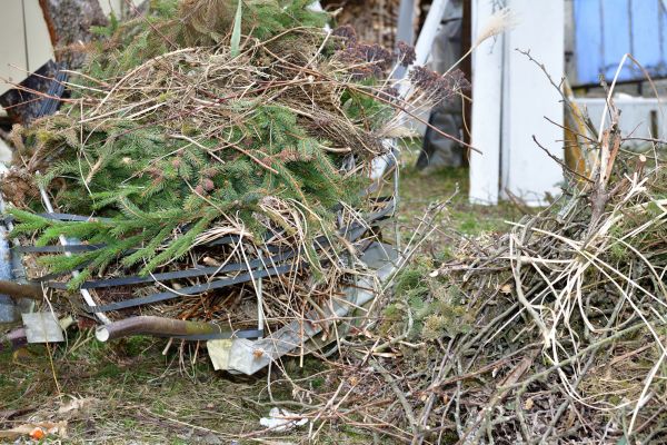 Yard Debris Removal in Austin
