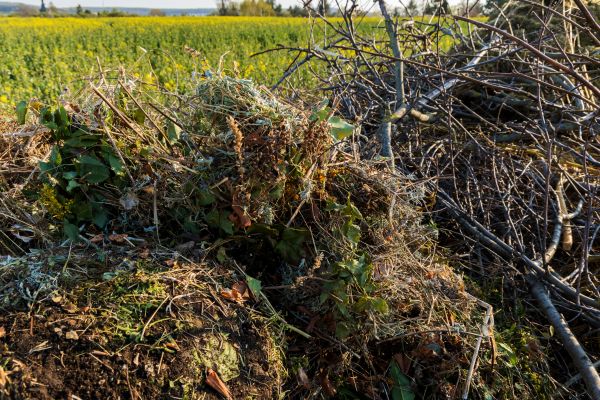 Brush Disposal in Austin