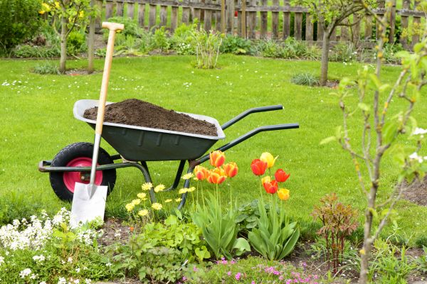 Cost of Spring Yard Cleanup in Austin