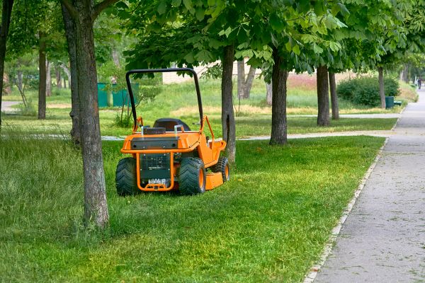 Cost of Landscaping Cleanup Service in Austin