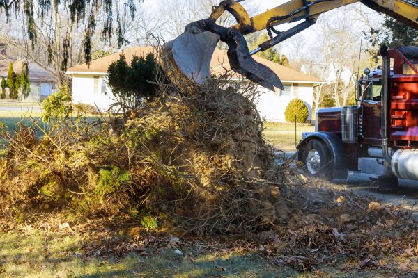 Storm Debris Removal in Austin