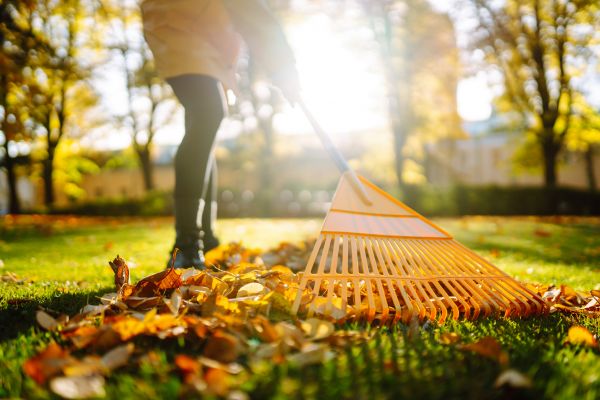 Leaves Raking in Austin