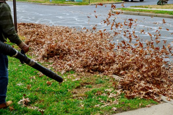 Cost of Garden Leaf Removal in Austin
