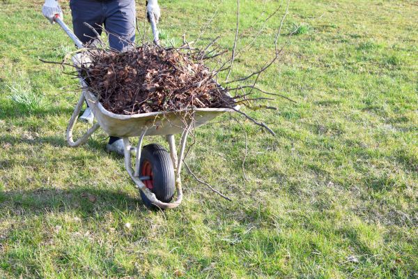 Yard Brush Removal in Austin