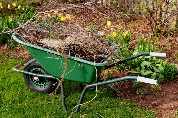 Lawn Waste Removal in Austin