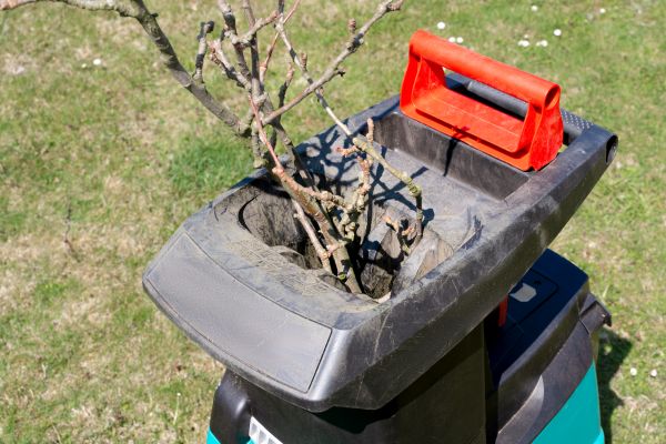 Brush Cleanup Service in Austin