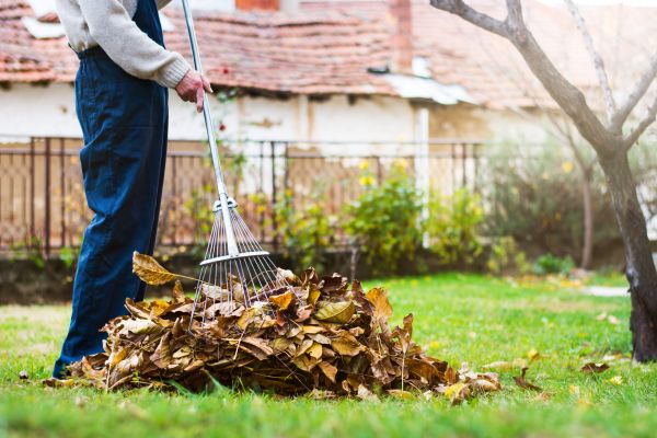 Cost of Fall Yard Cleanup Service in Austin