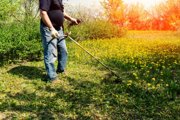 Cost of Yard Clearing Service in Austin