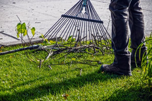 Cost of Yard Debris Cleanup in Austin