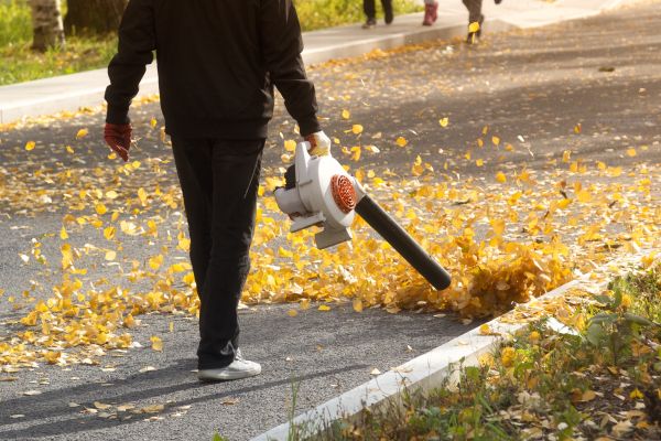 Commercial Leaf Removal in Austin
